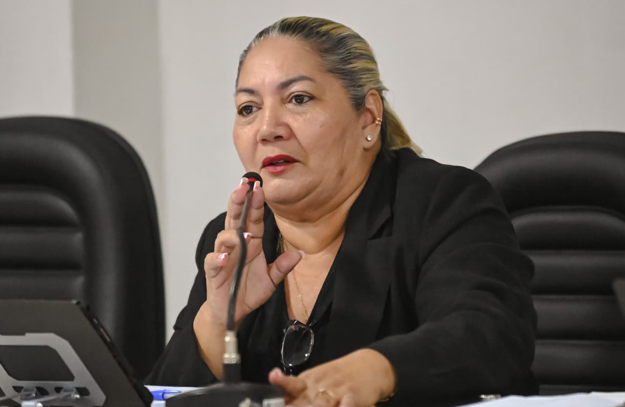 Projeto de Lei da vereadora Maria Miguel propõe a criação do Festival Municipal do Folclore em Murici